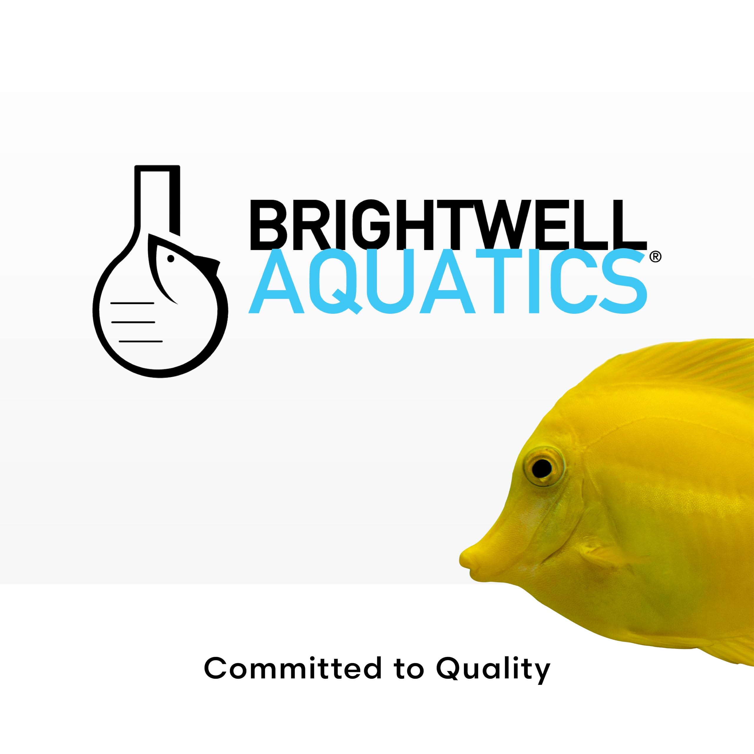 Brightwell Aquatics FlorinMulti plant supplement for a freshwater shrimp habitat.