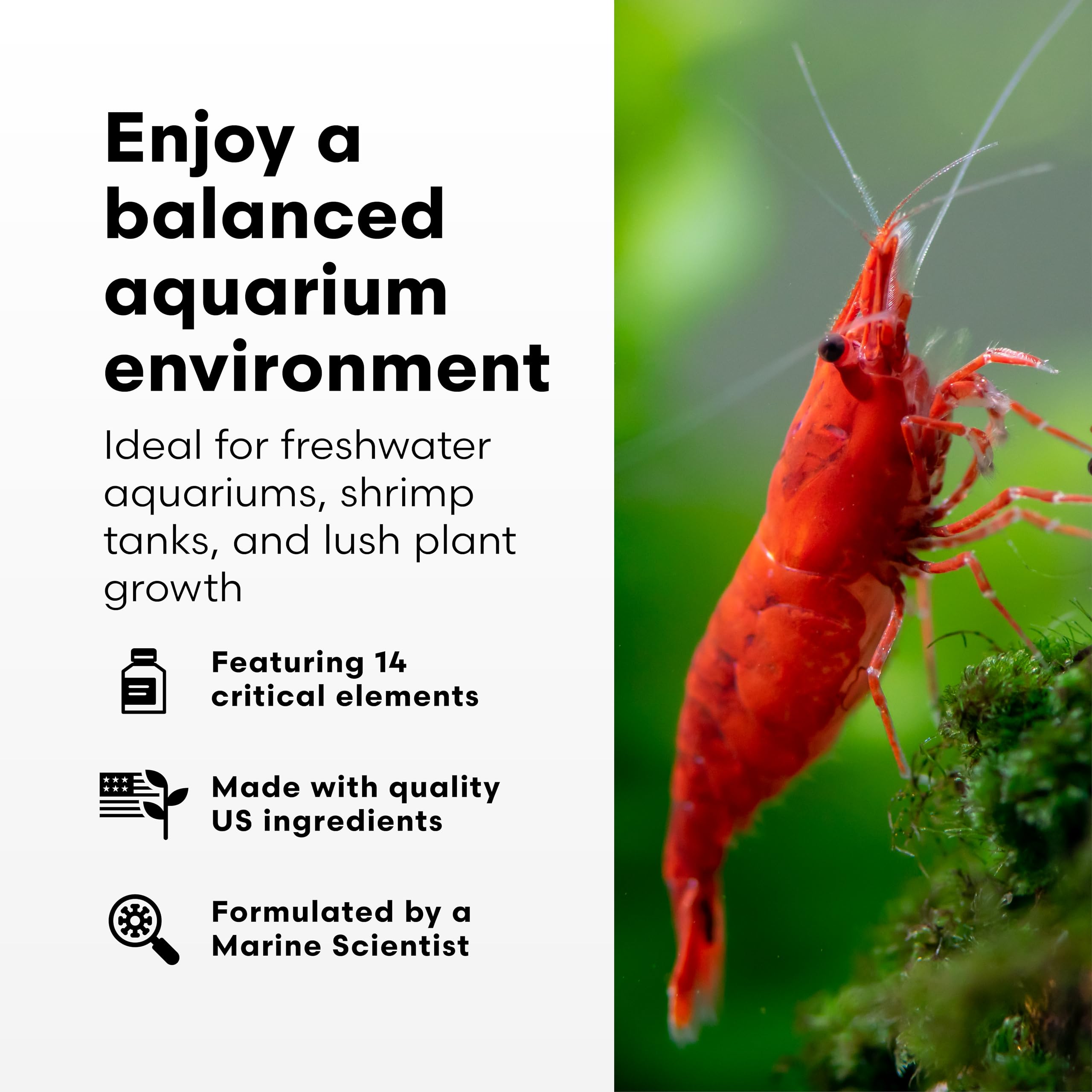 Back label view of Brightwell Aquatics FlorinMulti plant supplement.