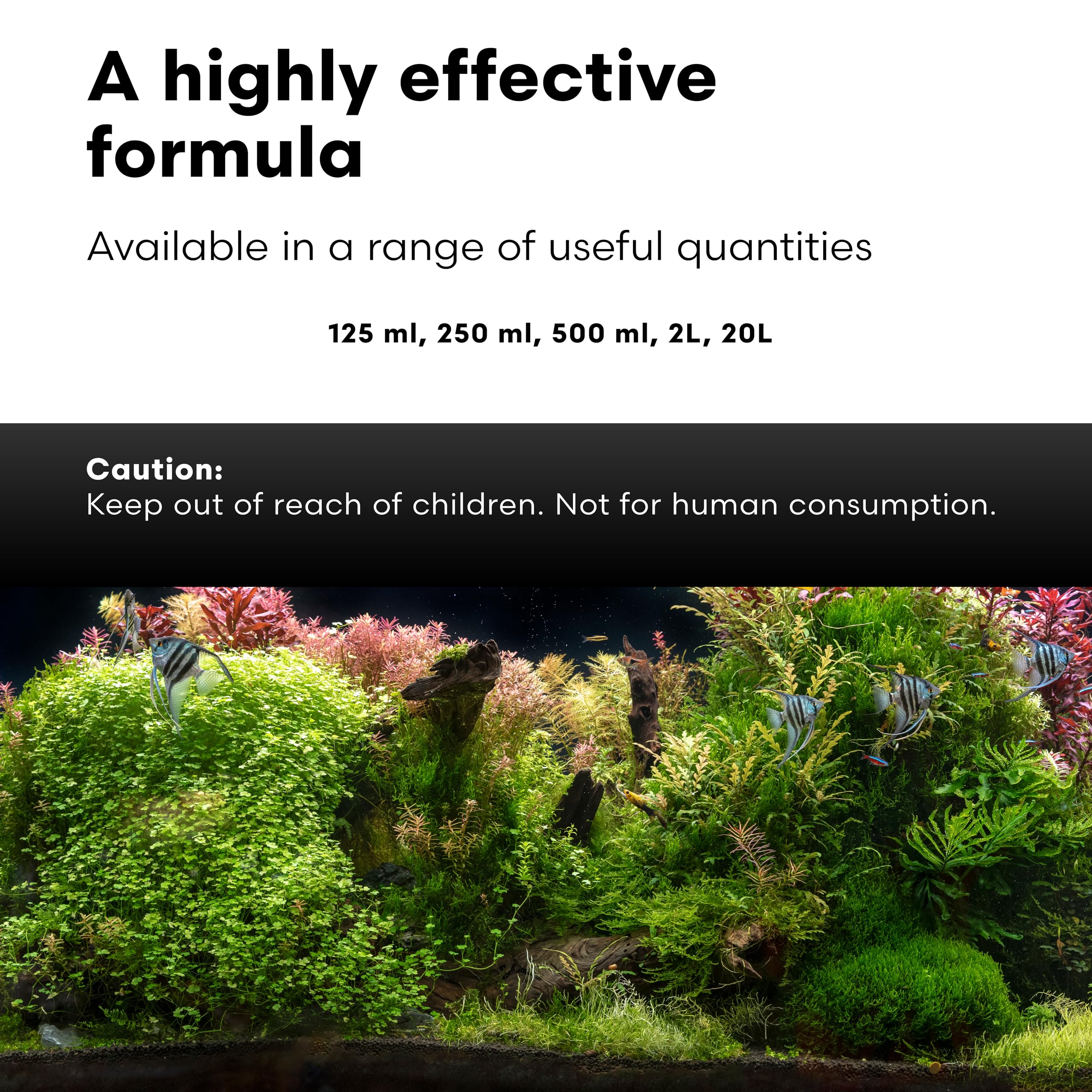 Brightwell Aquatics FlorinMulti plant supplement shown for planted aquarium care.