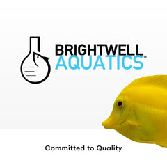 Brightwell Aquatics MicroBacter Clean bottle shown from the side.