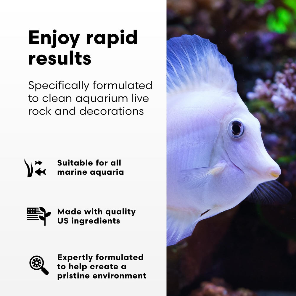 Brightwell Aquatics MicroBacter Clean label shown in close-up.