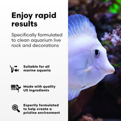 Brightwell Aquatics MicroBacter Clean label shown in close-up.