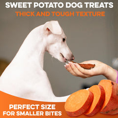 BRUTUS & BARNABY sweet potato dog treats highlighting the half-slice shape.