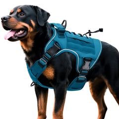 Bruvoalon dog harness shown from the front in blue.
