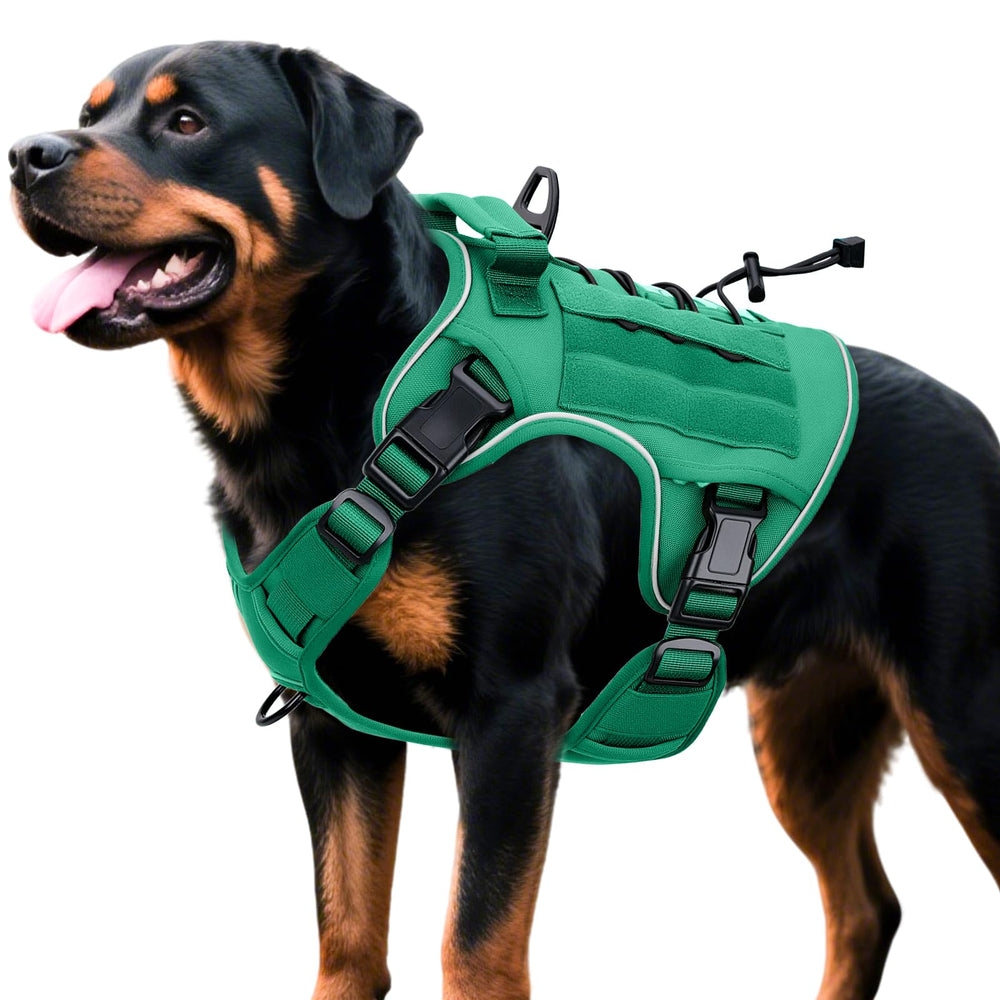 Bruvoalon tactical dog harness shown from the front in turquoise.