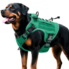 Bruvoalon tactical dog harness shown from the front in turquoise.