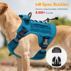 Bruvoalon dog harness detail showing the front and back metal leash clips.
