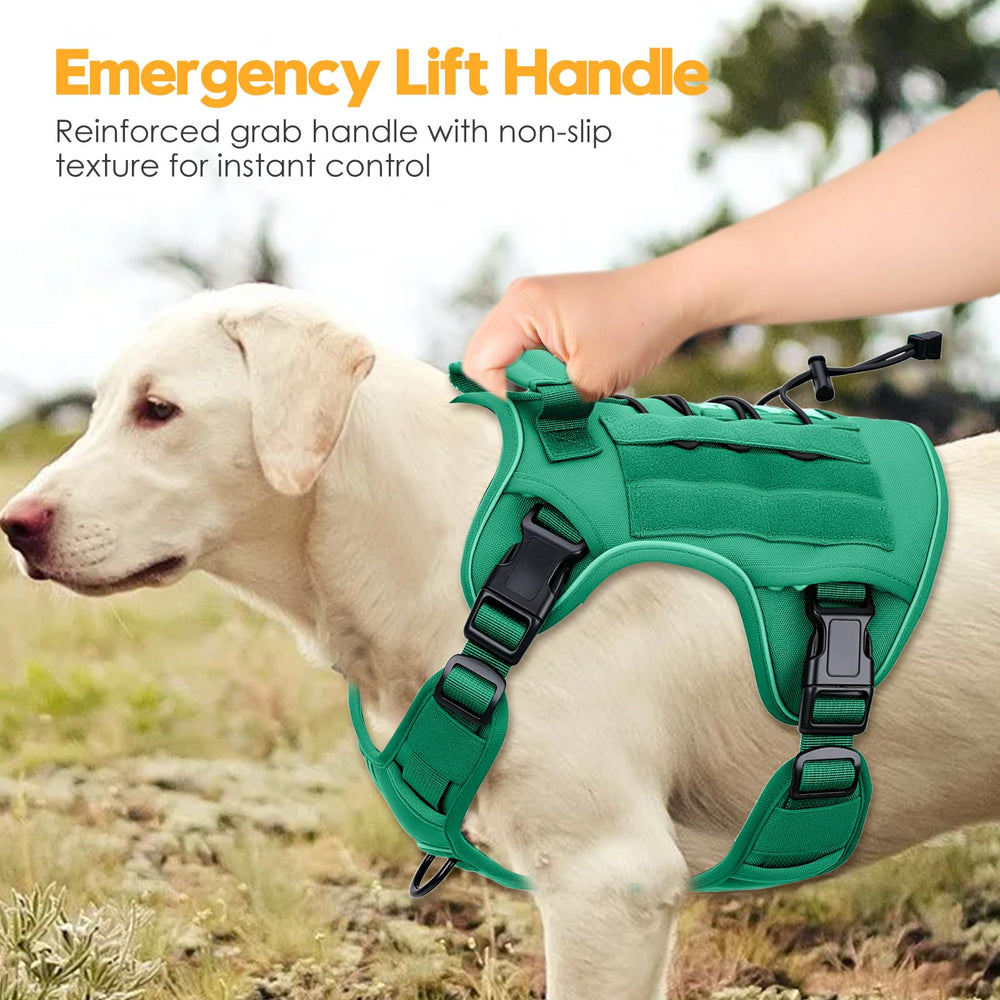Bruvoalon tactical dog harness with the included name patch attached.