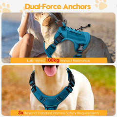 Bruvoalon dog harness shown with its sturdy top handle.