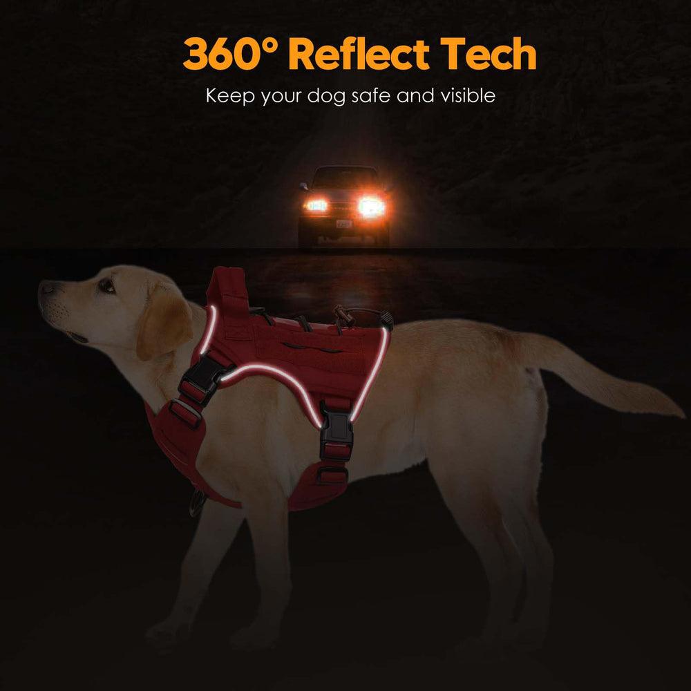 Bruvoalon dog harness detail showing its front and back metal leash clips.