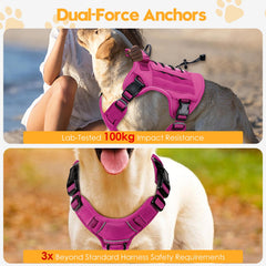 Bruvoalon tactical dog harness showing its adjustable shoulder and chest straps.