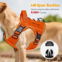 Bruvoalon tactical dog harness with its adjustable shoulder and chest straps.