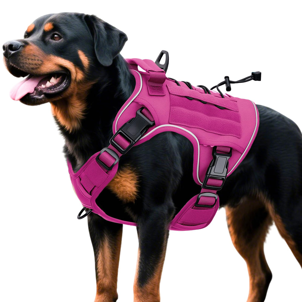 Bruvoalon tactical dog harness shown from the front in pink.