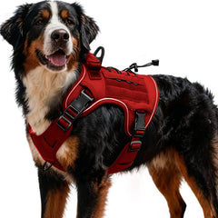 Bruvoalon tactical dog harness shown from the front.