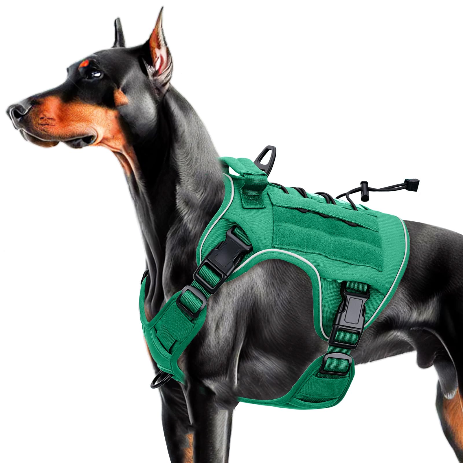 Bruvoalon tactical dog harness shown from the front in turquoise.