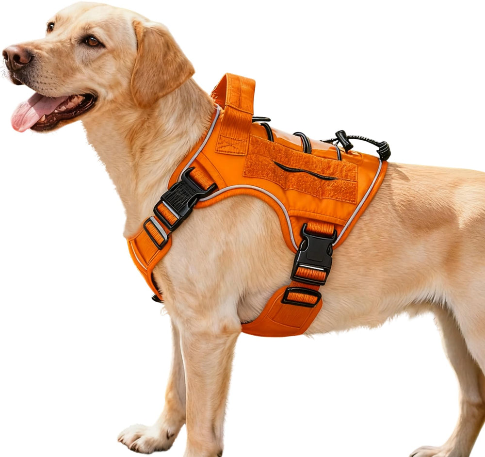 Bruvoalon tactical dog harness shown from the front.