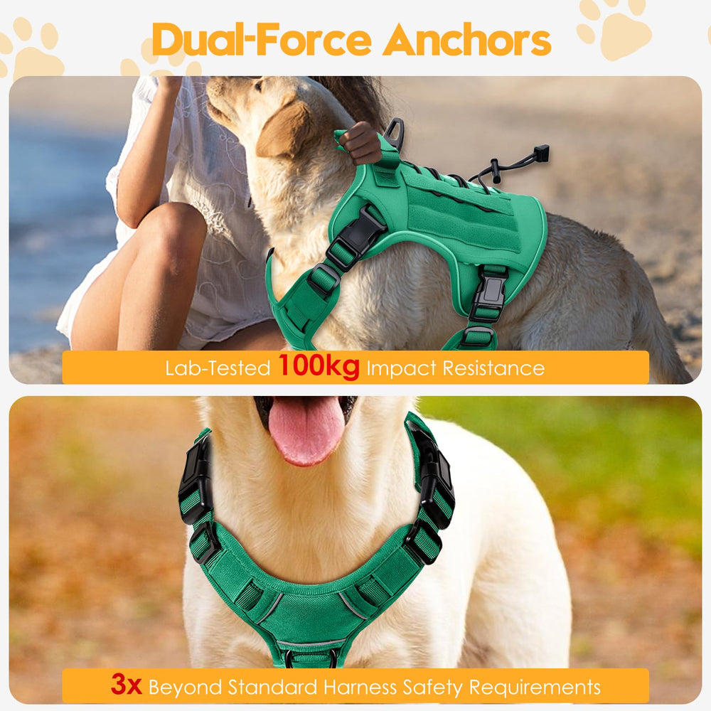Bruvoalon tactical dog harness showing its front and back leash clips.