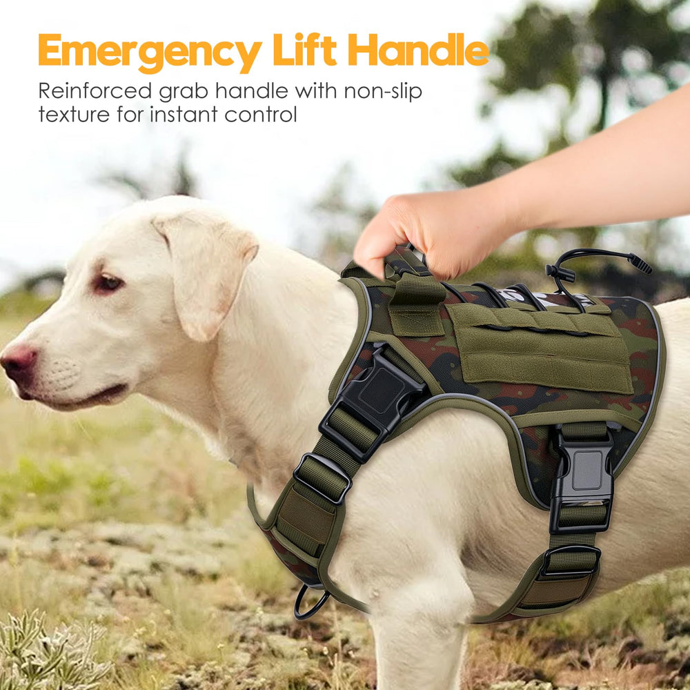 Bruvoalon tactical dog harness showing the MOLLE system and name patch.