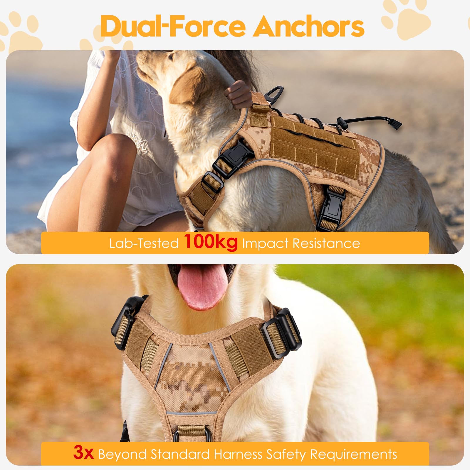 Bruvoalon tactical dog harness showing the MOLLE panel and Hook & Loop areas.