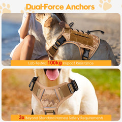 Bruvoalon tactical dog harness showing the MOLLE panel and Hook & Loop areas.