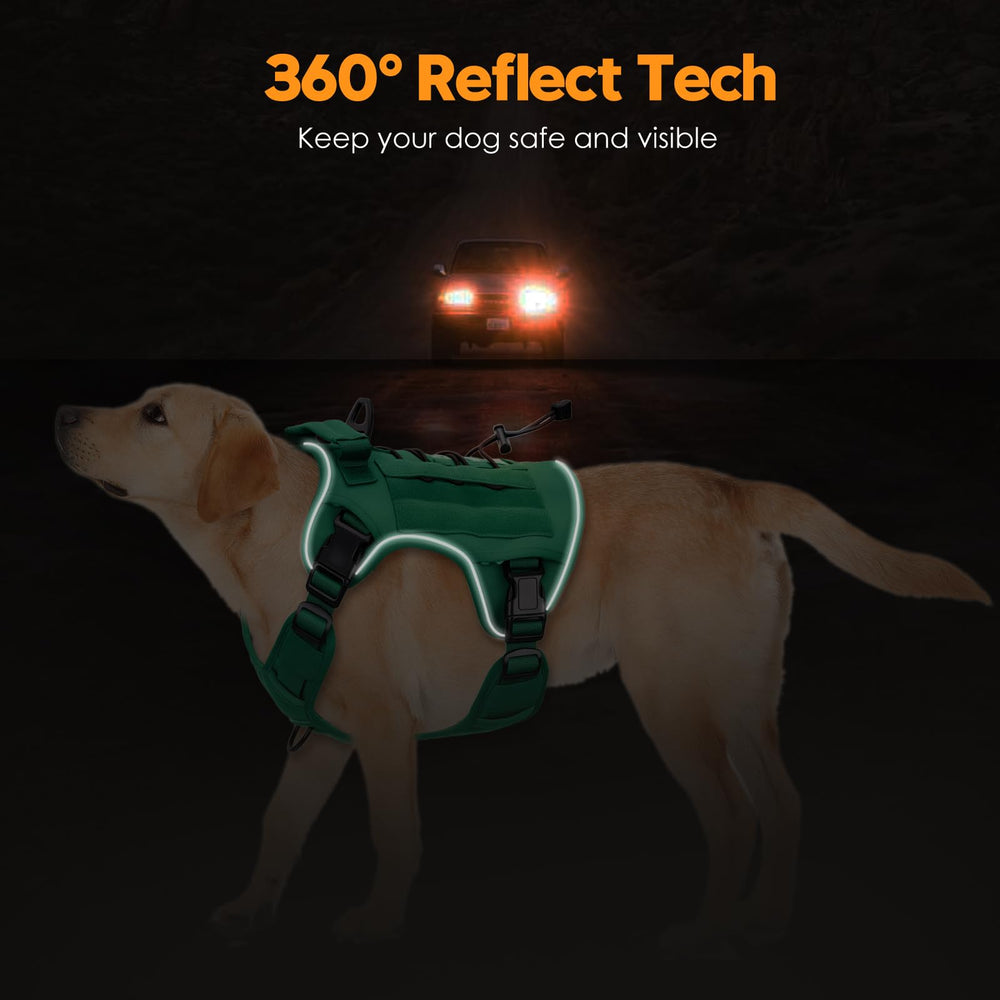 Bruvoalon tactical dog harness with its MOLLE gear-carrying system.