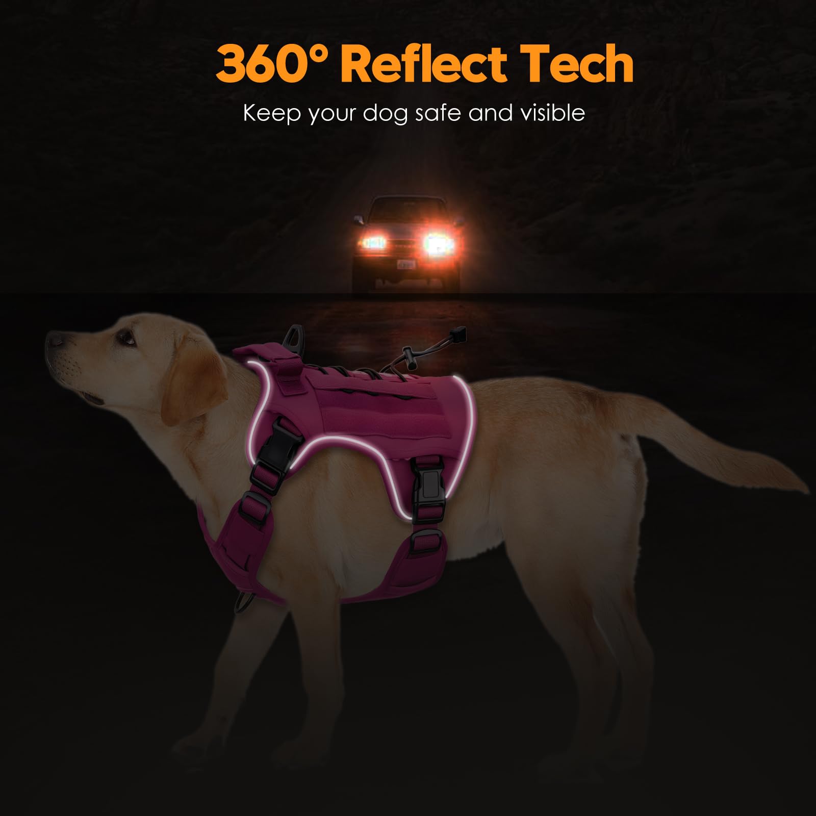 Bruvoalon tactical dog harness detail highlighting the MOLLE system and Hook & Loop panels.