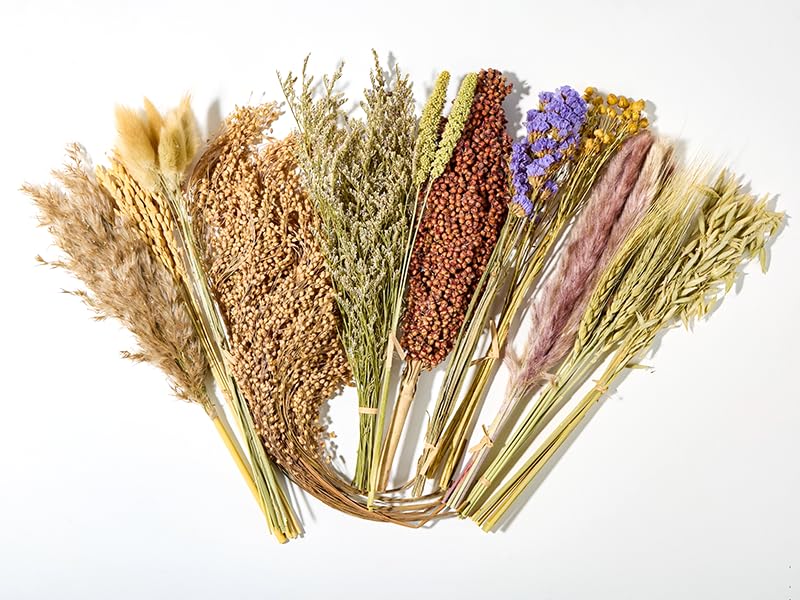 BUCATSTATE natural hamster bedding shown as a 90-piece dried blend.