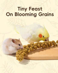 BUCATSTATE natural hamster bedding showing its mix of plant textures.