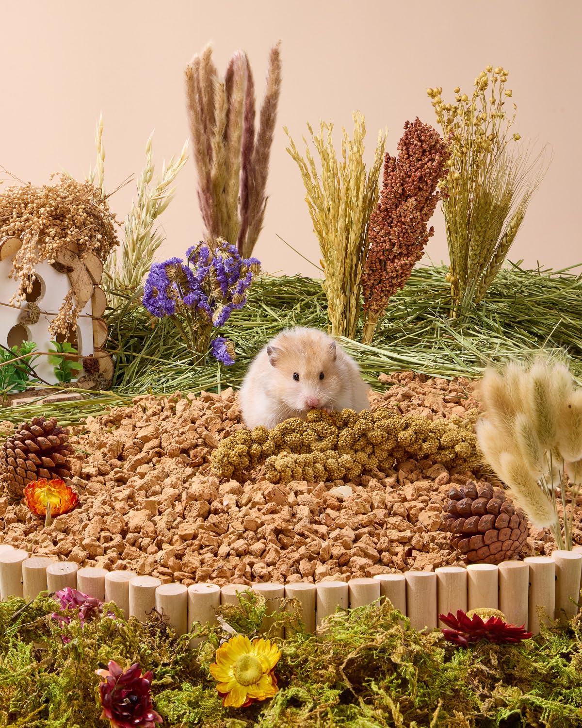 BUCATSTATE natural hamster bedding arranged for small-animal enrichment.