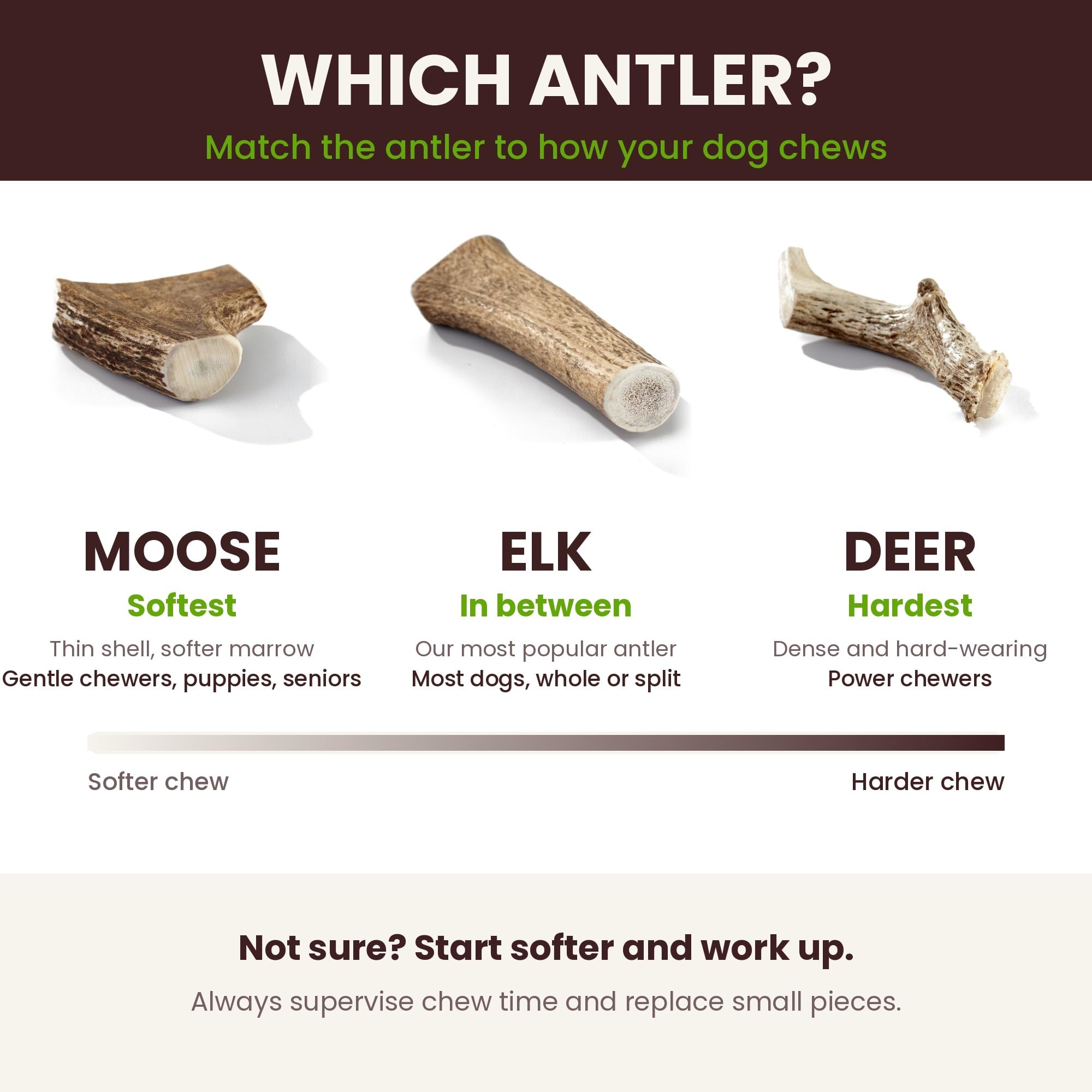 Buck Bone Organics elk antler chews shown with their package.