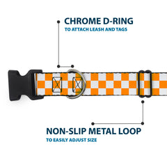 Buckle-Down Plastic Clip Collar close-up showing its plastic clip buckle.