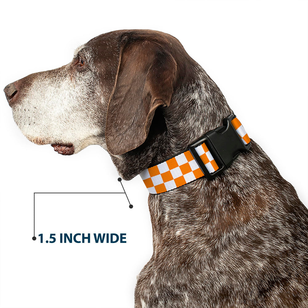 Buckle-Down Plastic Clip Collar shown fitted on a dog.