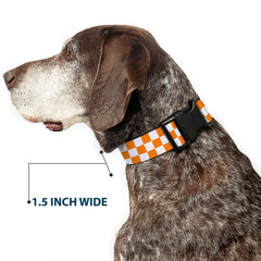 Buckle-Down Plastic Clip Collar shown fitted on a dog.