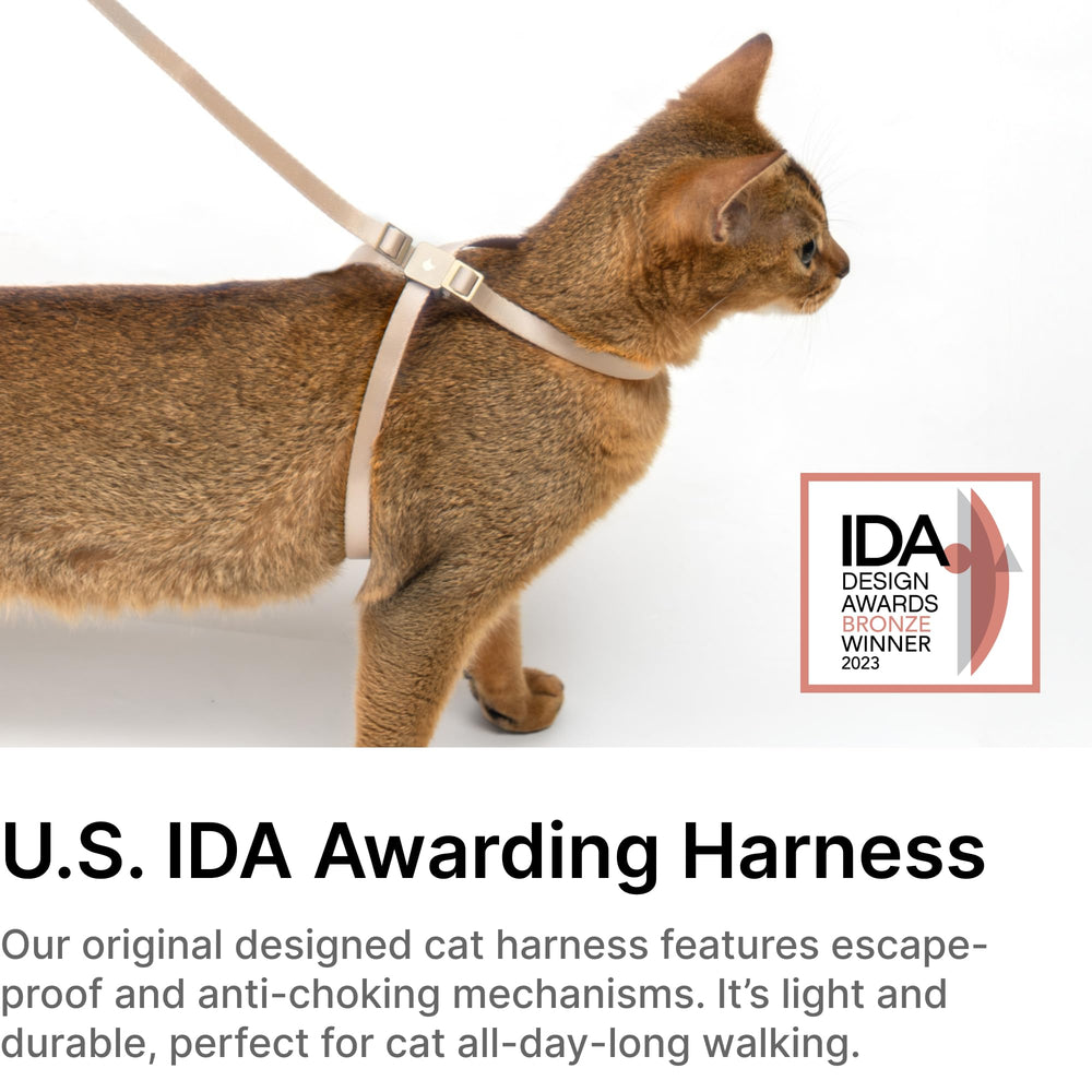 BuddyArmor cat harness shown in a full view of its overall design.