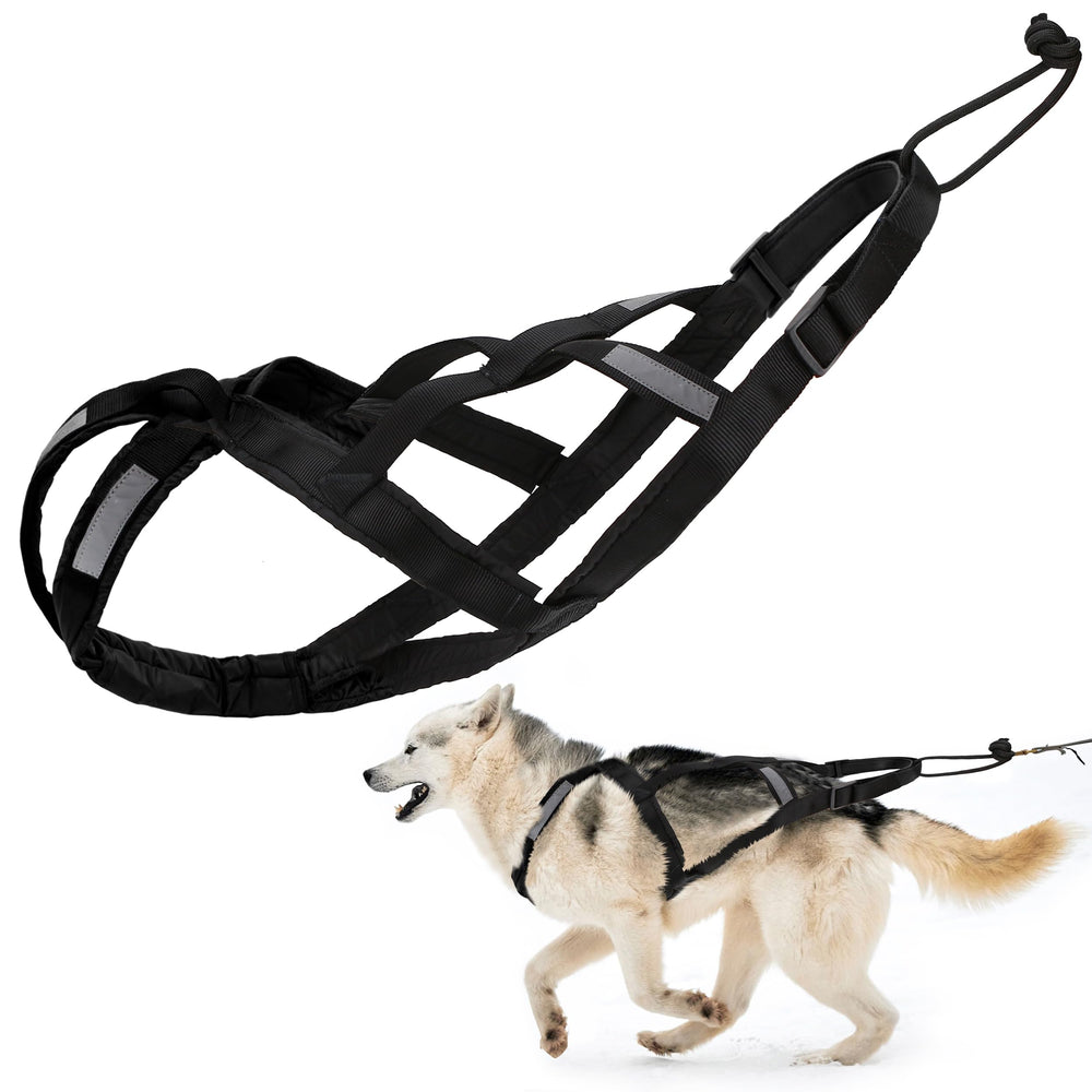 BuleVina Dog Pulling Harness shown from the front.