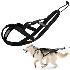 BuleVina Dog Pulling Harness shown from the front.