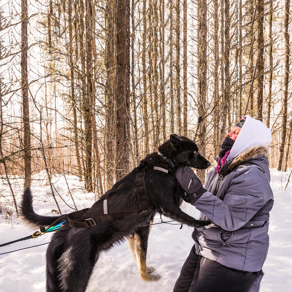 BuleVina Dog Pulling Harness with a close view of the ribcage padding.
