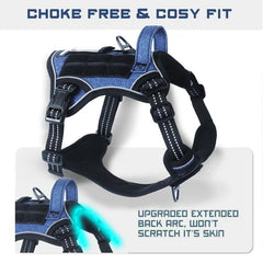 BUMBIN dog harness detail showing its buckle and leash clip attachments.