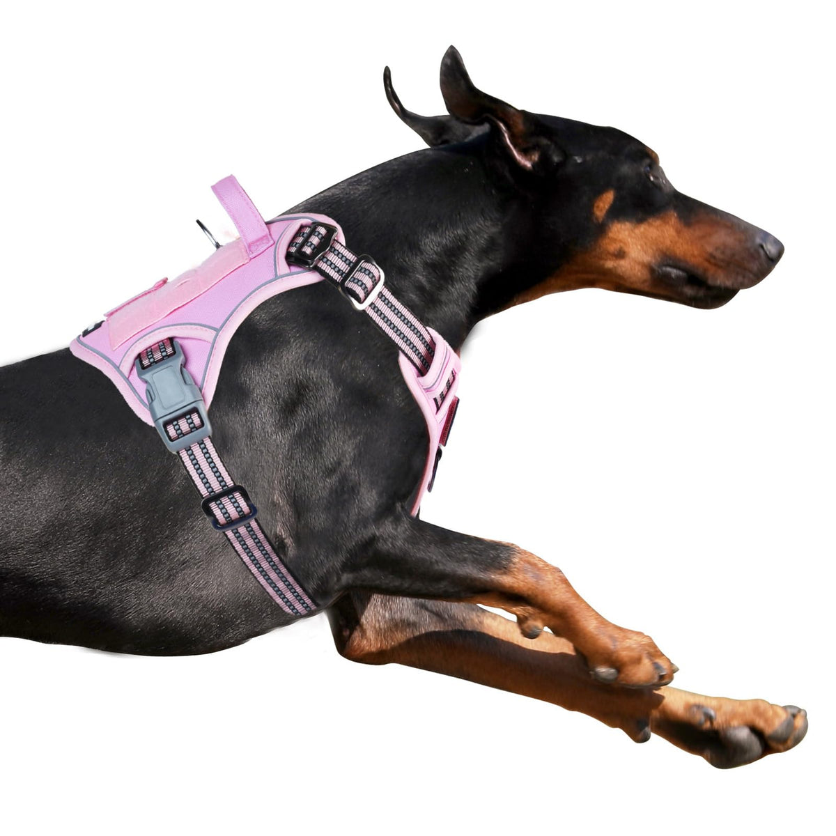 BUMBIN dog harness shown from the front in pink size L.
