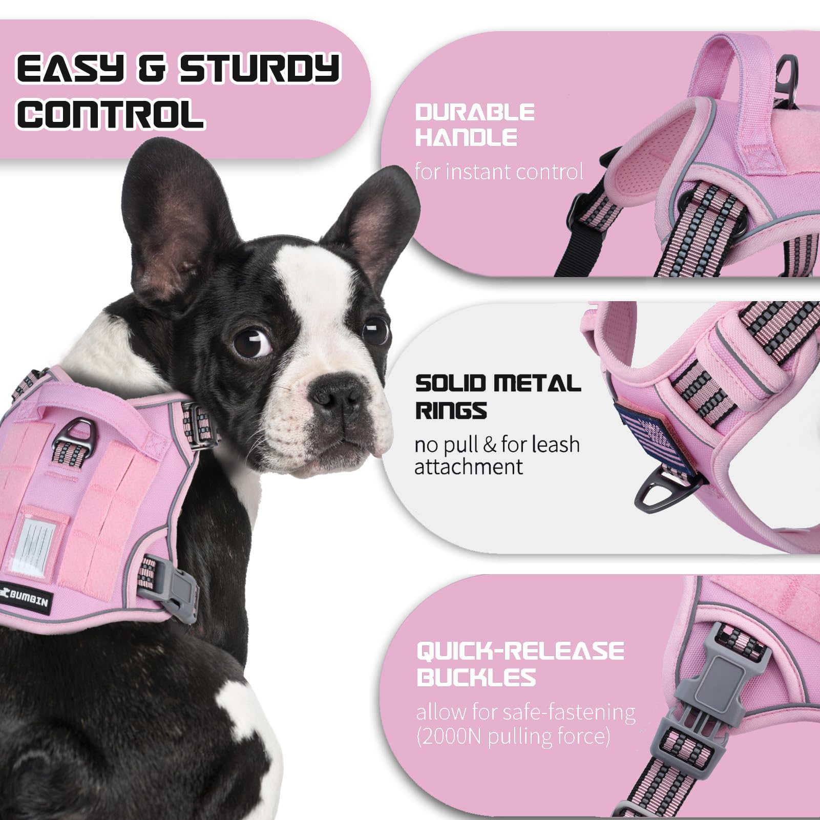 BUMBIN dog harness showing the front and back leash attachment points.