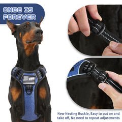 BUMBIN dog harness close-up showing reflective detailing around the vest.