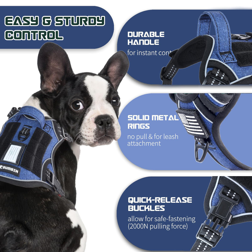 BUMBIN dog harness shown worn by a dog during a walk.