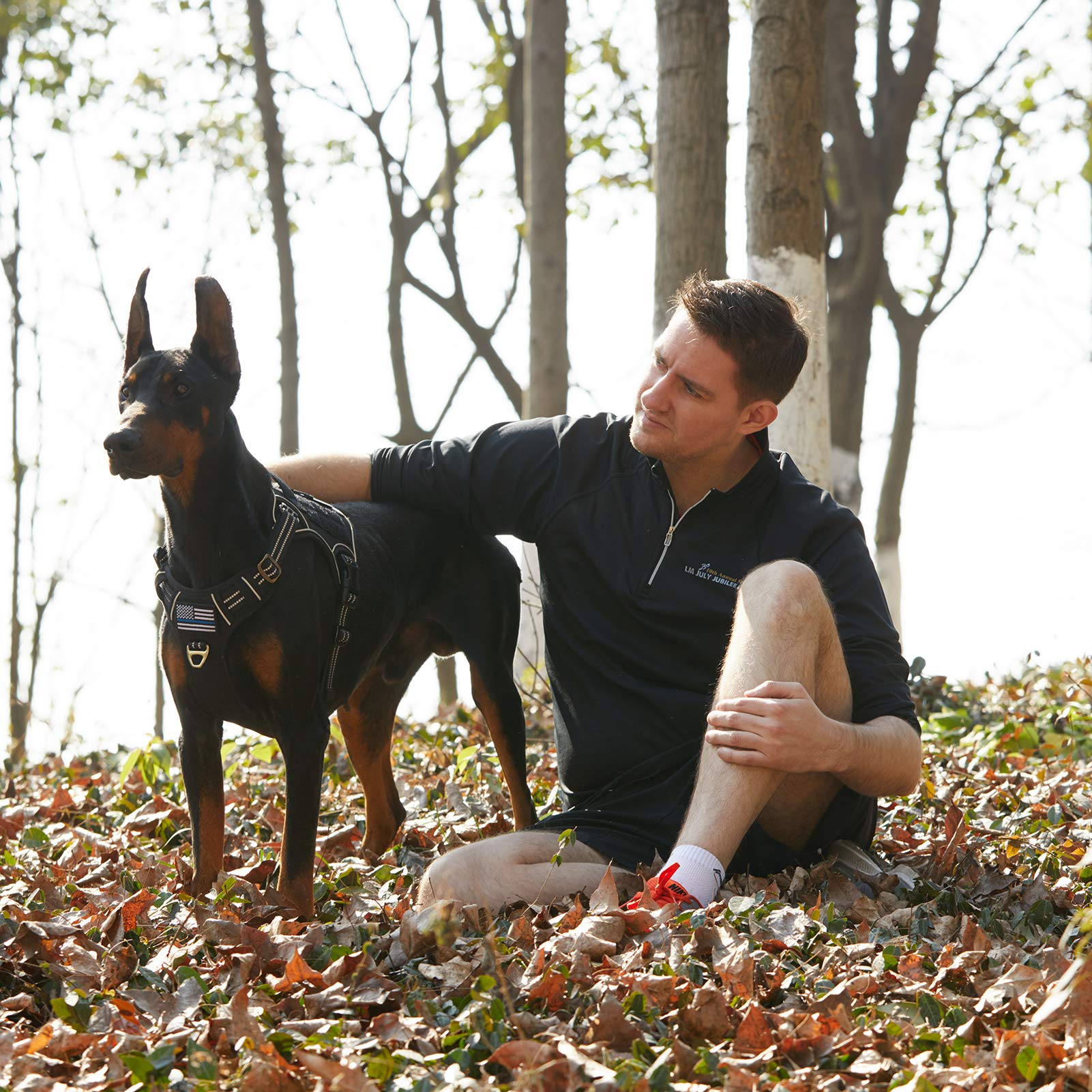 BUMBIN tactical dog harness showing the nesting buckle and adjustable straps.