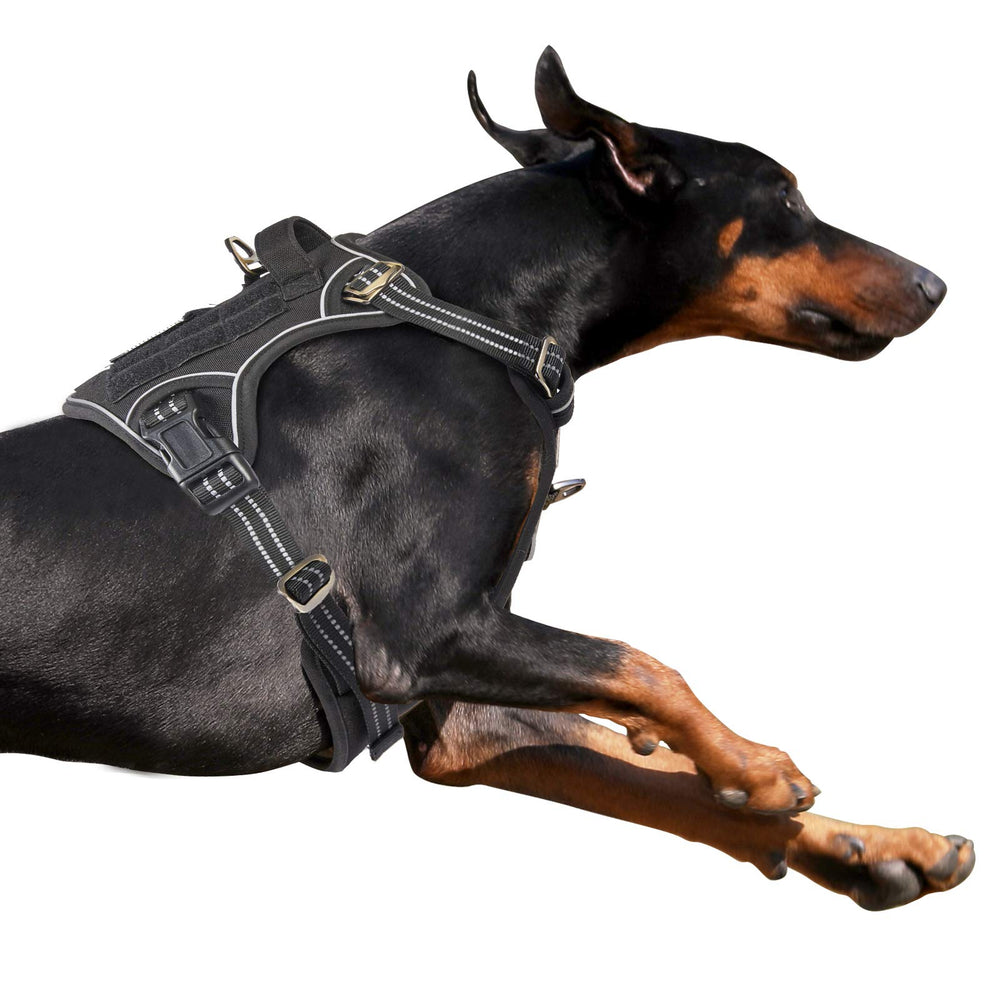 BUMBIN tactical dog harness shown from the front in black.