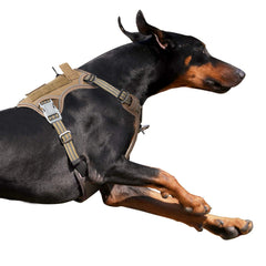 BUMBIN tactical dog harness in brown, shown from the front.
