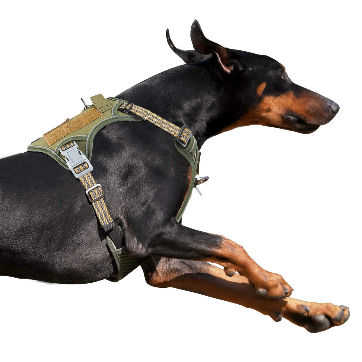 BUMBIN Tactical Dog Harness shown from the front in green.