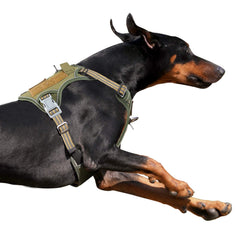 BUMBIN Tactical Dog Harness shown from the front in green.