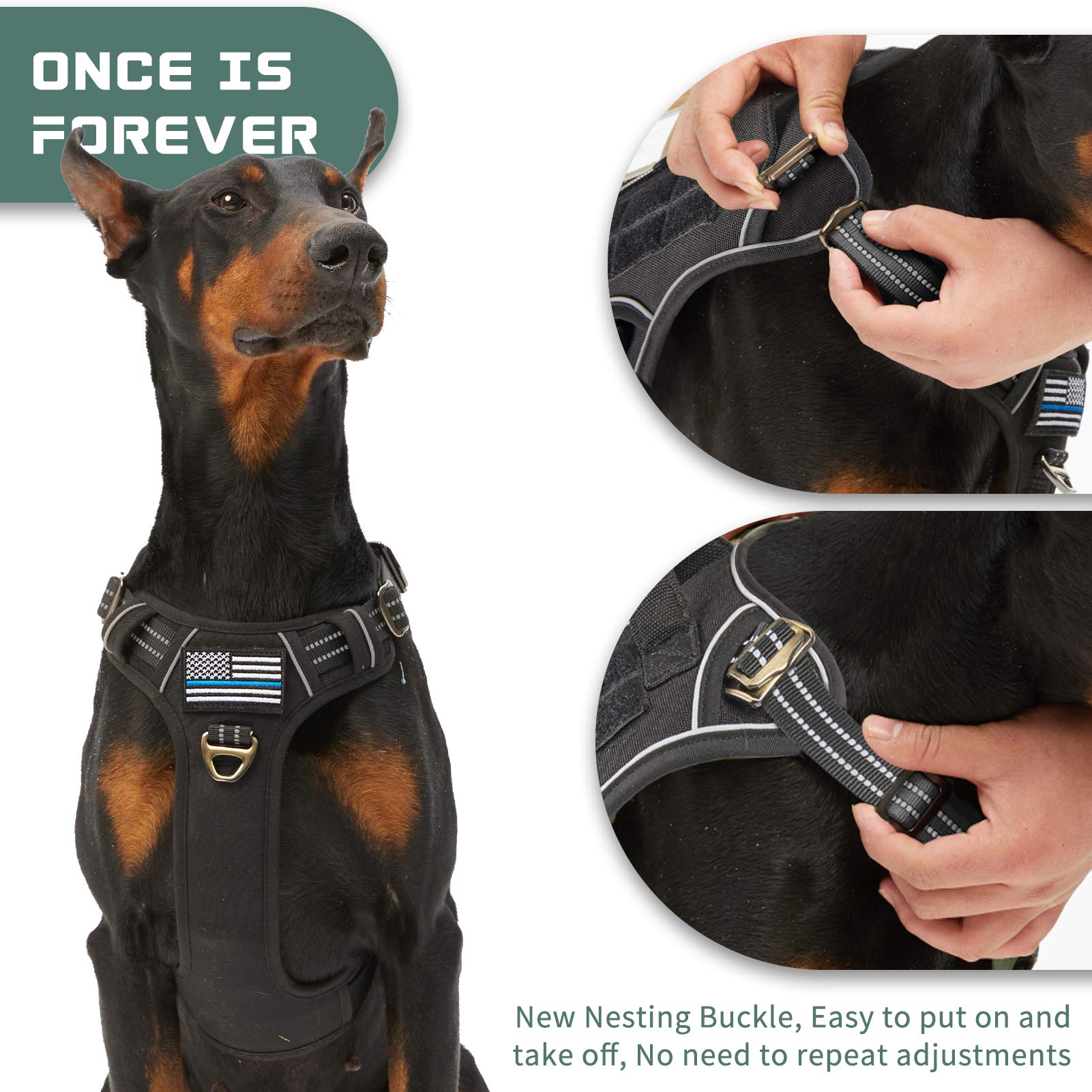 BUMBIN tactical dog harness showing its reflective design.