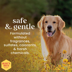 BURT'S BEES FOR PETS Oatmeal Dog Shampoo bottle shown from the back.