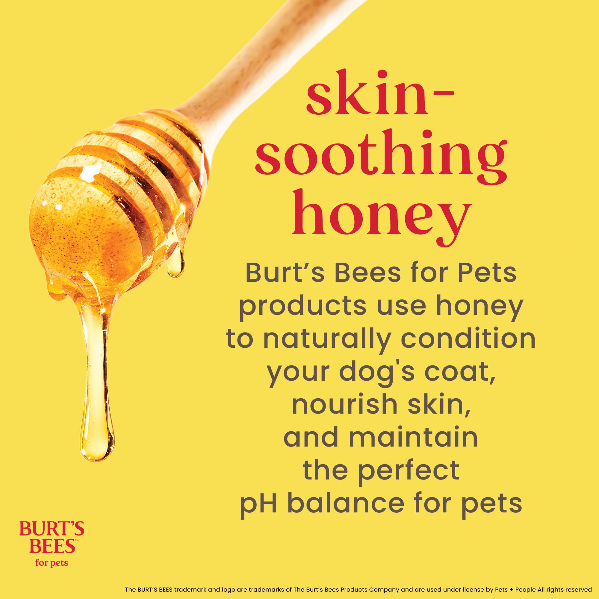 BURT'S BEES FOR PETS Oatmeal Dog Shampoo cap shown in close-up.